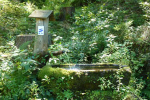 Erfrischung beim Wandern im Bayerischen Wald